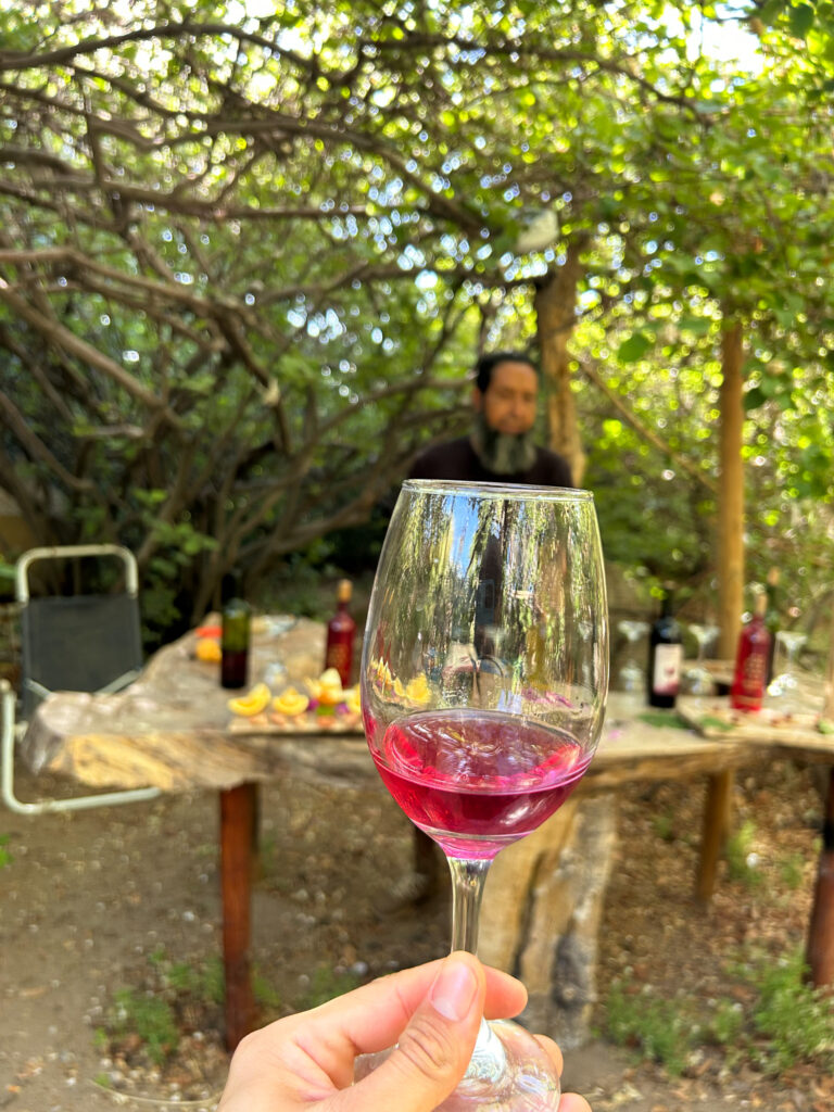Salar de Atacama e vinho em Toconao